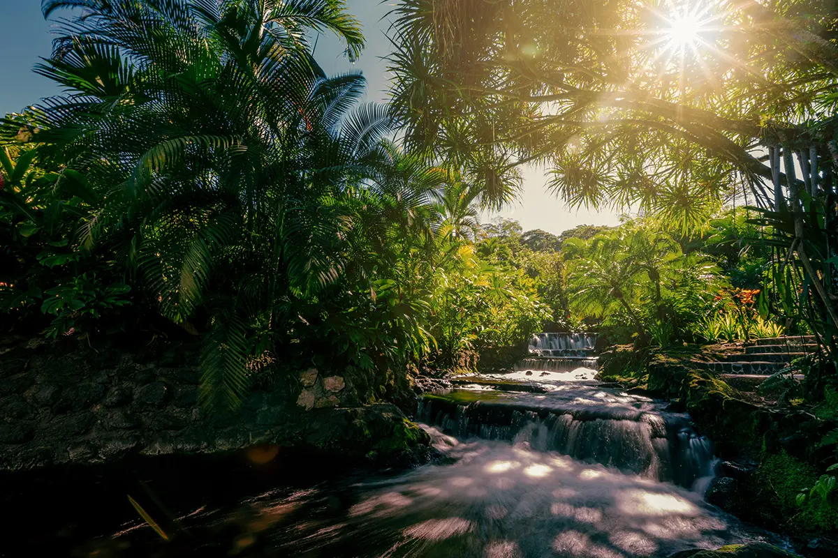 Tabacon Hot Springs