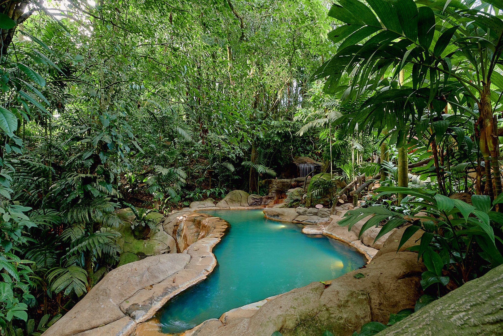 The Springs Resort & Spa gallery